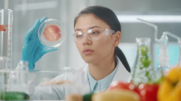 若いアジアの女性研究者は ペトリ皿に遺伝子組み換え肉のサンプルを調べます 微生物学者はサンプルの品質を分析します 製品や野菜を用いた生物学実験 — ストック動画