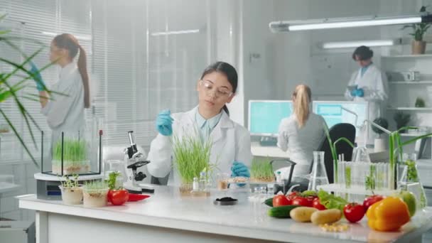 Ung Asiatisk Kvinnlig Biolog Pipetterar Bekämpningsmedel Ett Prov Gröna Groddar — Stockvideo