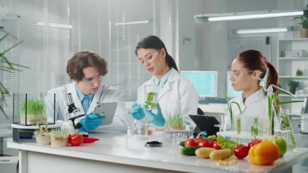 一位年轻的亚洲女性研究人员在一个瓶子里检查绿苗 女性和男性助手用平板电脑记录数据 转基因水果 蔬菜和绿芽的研究 — 图库视频影像