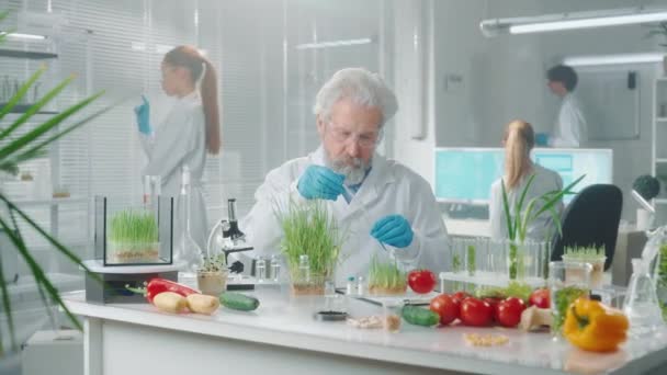 Egy Orvostudós Folyadékot Önt Növények Teszthajtásaira Csíráztatott Palánták Zöldségek Gyümölcsök — Stock videók
