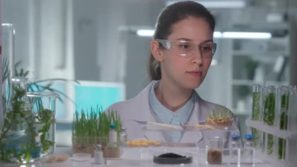 Beyaz Önlüklü Gözlüklü Kadın Araştırmacı Bir Tüp Yetişkin Yeşillik Alıyor — Stok video