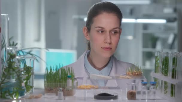 白いガウンを着た若い女性研究者が緑の試験管を取り それを調べる 植物の遺伝的修飾 微生物学者は研究室で栽培された苗を分析する 生物学 — ストック動画