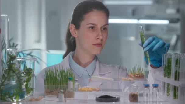 흰옷을 연구원 야채와 피망같은 액체가 시험관을 넣는다 식물의 유전자 미생물학자들은 — 비디오