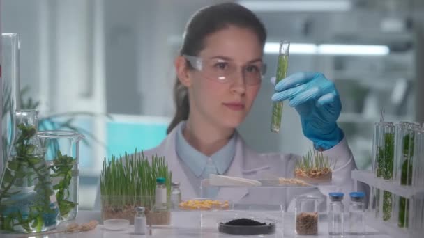 고글을 연구원 야채와 파이프 시험관을 넣는다 식물의 유전자 미생물학자들은 미국에서 — 비디오