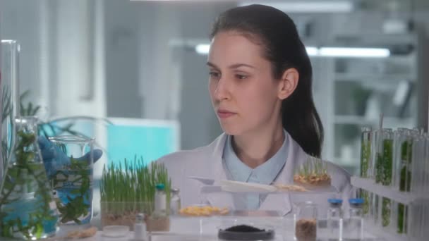 Pesquisadora Vestido Branco Pega Frasco Verduras Cultivadas Examina Modificação Genética — Vídeo de Stock