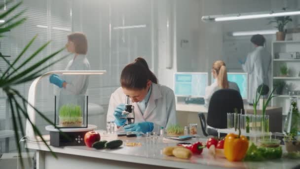 女性は顕微鏡でサンプルを検査し デジタルタブレットにデータを書き込みます 緑の芽 研究室で栽培された製品の遺伝的修飾の研究 グループ — ストック動画