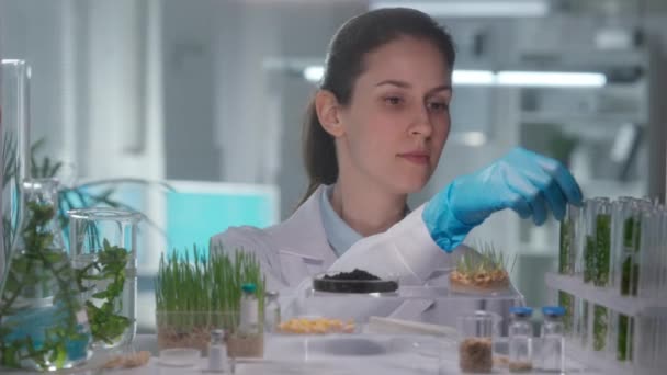Ung Kvinnlig Forskare Vit Klänning Som Undersöker Ett Jordprov Mikrobiolog — Stockvideo