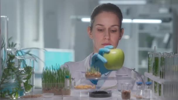 Mujer Genetista Calificada Que Examina Manzana Verde Inyecta Pesticidas Ella — Vídeo de stock