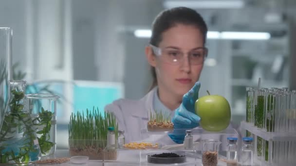 Geschoolde Vrouw Geneticus Onderzoekt Groene Appel Injecteert Pesticiden Het Met — Stockvideo