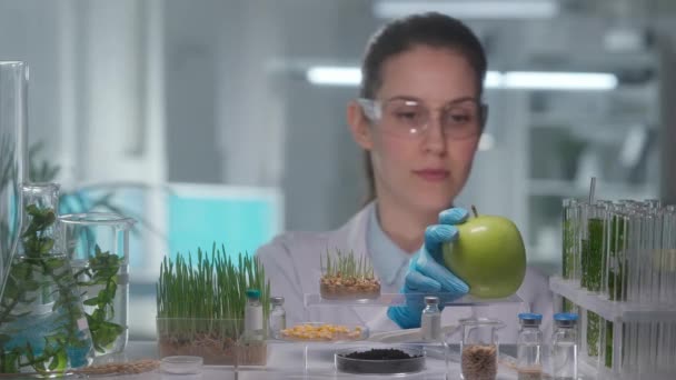 Mujer Genetista Examinando Manzana Verde Asiente Con Cabeza Afirmativamente Brotes — Vídeo de stock