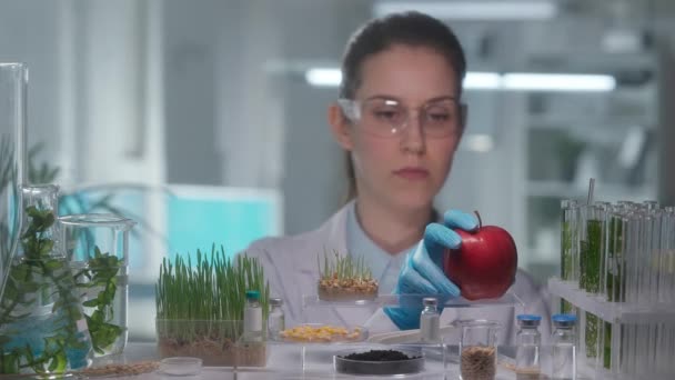 Mujer Genetista Examinando Manzana Roja Sacude Cabeza Desaprobación Brotes Verdes — Vídeo de stock