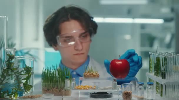 공학자가 사과를 조사하고 엄지손가락으로 줍니다 플라스크와 시험관 속에서 자라는 초록빛 — 비디오