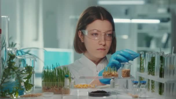 Kvinnlig Biolog Vit Klänning Och Glasögon Tar Ett Provrör Odlade — Stockvideo