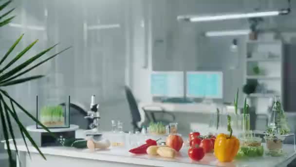 遺伝子組み換え野菜 キノコ もやしのサンプルを持つバイオテクノロジー研究所 テーブルの上にはトマト キュウリ ジャガイモ ピーマン キノコ レタス 緑の植物があります — ストック動画