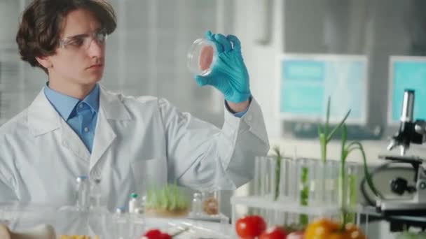 Мужчина Исследователь Исследует Образец Генетически Модифицированного Мяса Чашке Петри Микробиолог — стоковое видео
