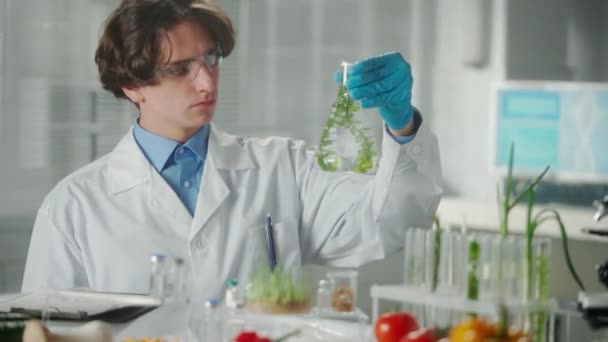 Bir Erkek Araştırmacı Bir Şişedeki Yeşil Fideleri Inceliyor Verileri Bir — Stok video
