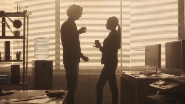 Silhouette Uomo Una Donna Comunicano Bevono Caffè Tazze Mentre Sono — Video Stock