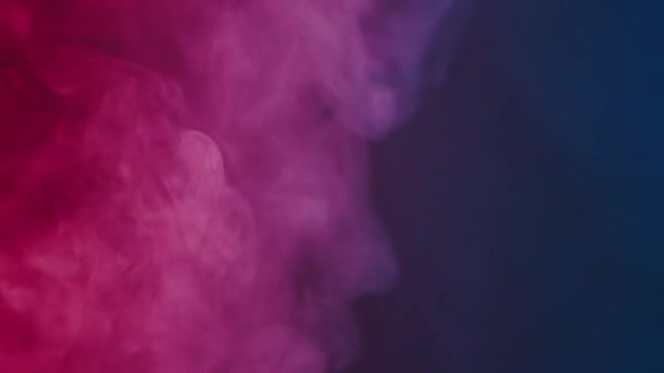 Bolyhos Füstfelhők Kék Rózsaszín Neonfényben Fekete Háttérrel Mockup Logóhoz Tapétához — Stock videók