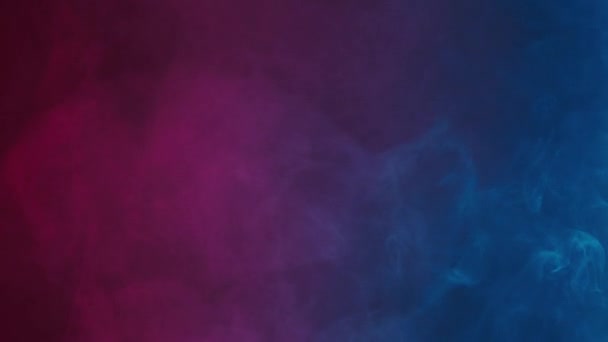 黒を背景にピンクと青のネオンライトで煙の魅惑的な動き 転がる煙効果 — ストック動画