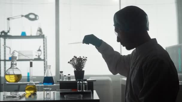 一位科学家在实验室工作 男人用长笛把蓝色的化学物质加到盆栽里 探险家黑暗轮廓的侧视图 研究概念 生物技术 遗传学 生物化学 — 图库视频影像