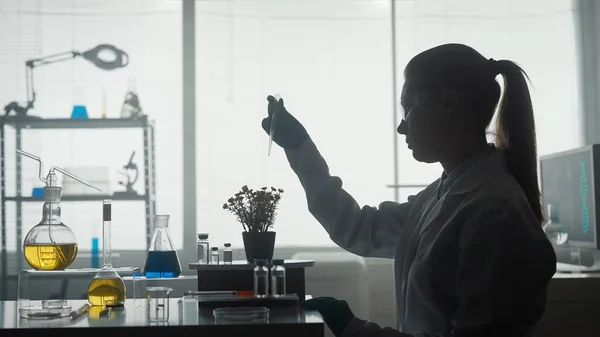 Женщина Ученый Работает Лаборатории Женщина Использует Пипетку Добавить Химикат Горшок — стоковое фото