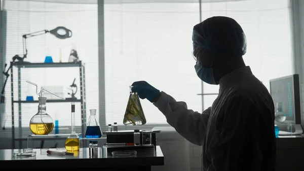 Male Scientist Holds Erlenmeyer Flask Plant Examines Dark Silhouette Scientist — Stock Photo, Image