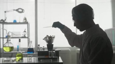Laboratuvarda çalışan bir bilim adamı. Bir adam saksı bitkisine mavi bir kimyasal eklemek için pipet kullanıyor. Kâşiflerin karanlık siluetinin yan görüntüsü. Araştırma konsepti, biyoteknoloji, genetik, biyokimya