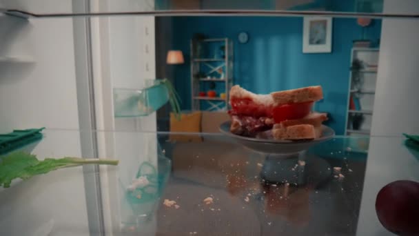 Abre Refrigerador Vacío Sándwich Mordido Plato Estante Entre Las Sobras — Vídeo de stock