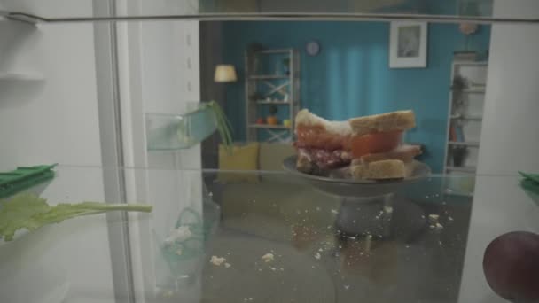 打开空冰箱一个被咬的三明治 放在架子上的盘子里 夹着剩菜和碎食品 家里没有食物 金融危机的概念 从冰箱里面看 — 图库视频影像