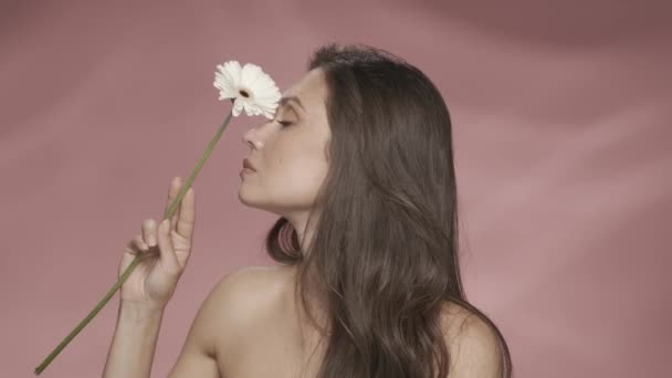 女性は顔と首の皮の上にカモミールの花を持っています ピンクの背景にあるスタジオのセミノードの女性 カモミールをベースにした化粧品 リフレッシュ トーニング — ストック動画