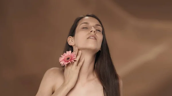 Una Donna Tocca Mano Con Fiore Gerbera Rosa Sulla Pelle — Foto Stock