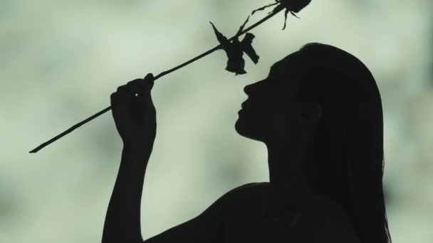 Крупним Планом Відео Про Силует Молодих Жінок Тримає Троянду Тягне — стокове відео