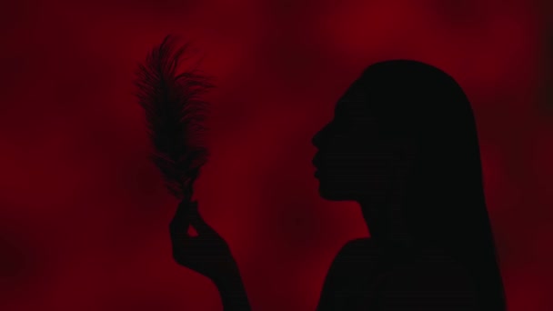 Tutup Sisi Profil Video Dari Siluet Wanita Muda Meniup Bulu — Stok Video