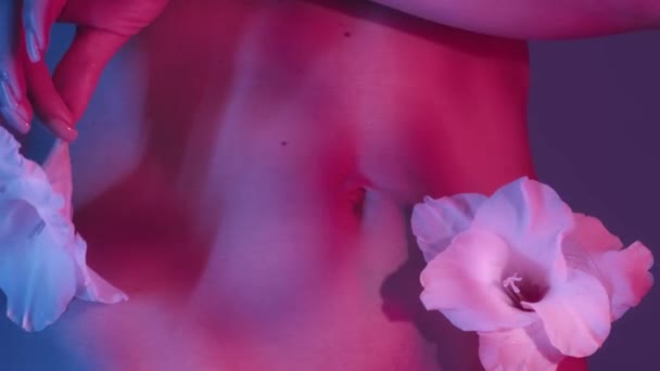 女性はウエストの側のもう一つの花 グラディオラスの花で優しく触れられています 柔らかい影に覆われた背景 ピンクとブルーのカラースキームの対比 — ストック動画