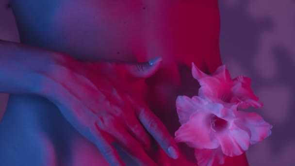 女性は ウエストの側面にグラディオラスの花で 指で優しく触れられるビューで腰を下ろします 柔らかい影に覆われた背景 ピンクとブルーのカラースキームの対比 — ストック動画