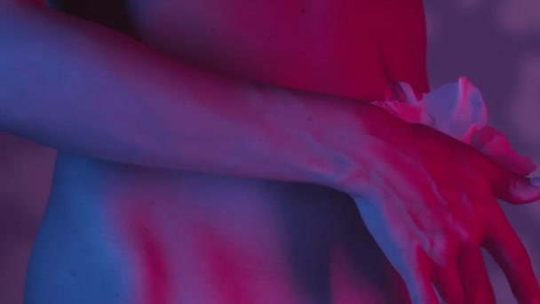 女性は ウエストの側面にグラディオラスの花で 指で優しく触れられるビューで腰を下ろします 柔らかい影に覆われた背景 ピンクとブルーのカラースキームの対比 — ストック動画