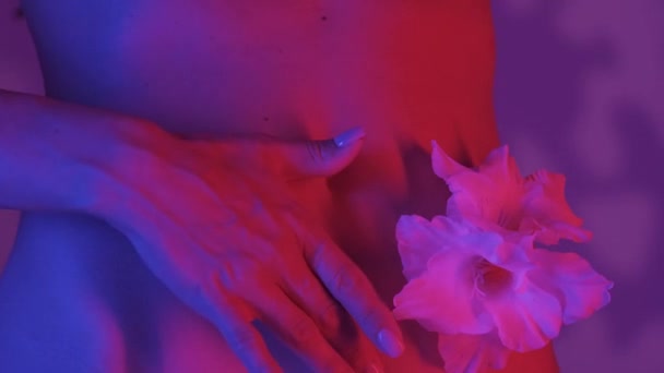 女性は ウエストの側面にグラディオラスの花で 指で優しく触れられるビューで腰を下ろします 柔らかい影で覆われたピンクとブルーのカラースキームの対照 Hdrについて — ストック動画
