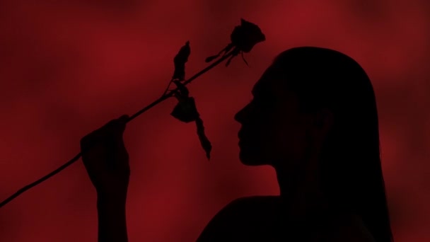 赤いバラを持っている若い女性のシルエットのサイドプロファイルビデオを閉じて 彼女の顔と首をドラッグします ダークレッドの背景 レジャーや製品の広告 Hdr Bt2020 Hlg材料について — ストック動画
