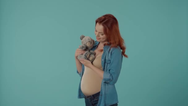 红头发的年轻孕妇抱着泰迪熊 在工作室里拿着玩具的女人背景是蓝色的感情用事的怀孕时间 宝宝的期待 爱与关怀 — 图库视频影像