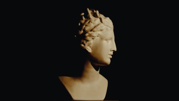 Gros Plan Belle Statue Marbre Déesse Antique Vénus Portrait Buste — Video