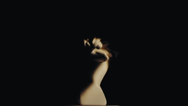 Primer Plano Estatua Mármol Venus Hermosa Diosa Antigua Conjunto Luces — Vídeos de Stock