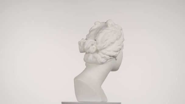 Primer Plano Hermosa Estatua Mármol Venus Diosa Antigua Retrato Busto — Vídeo de stock