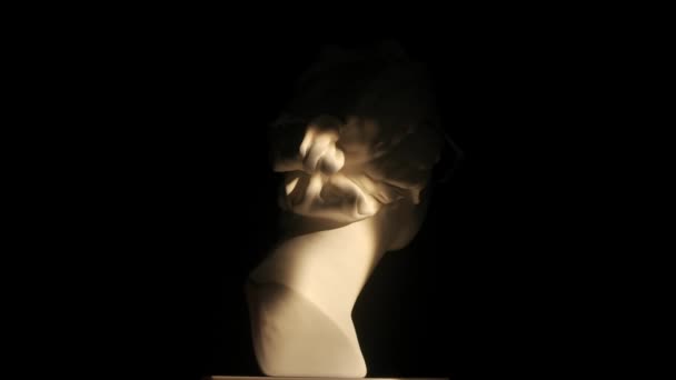 Крупный План Древней Статуи Мрамора Венеры Розовых Очках Выборочным Освещением — стоковое видео