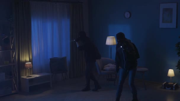 Vidéo Deux Cambrioleurs Faisant Tour Appartement Sombre Avec Des Lampes — Video
