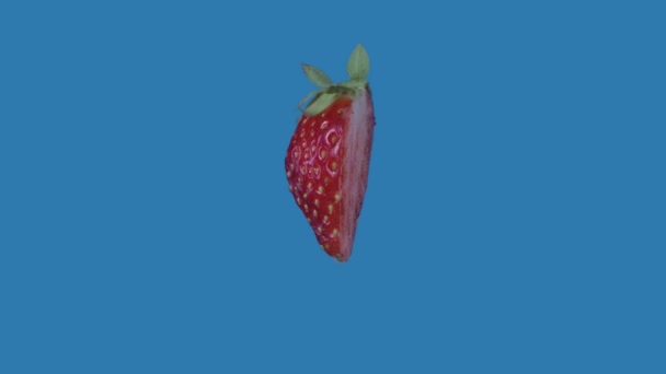 Zdravá Reklama Potraviny Kreativní Koncept Izolované Modrém Pozadí Berry Otáčela — Stock video