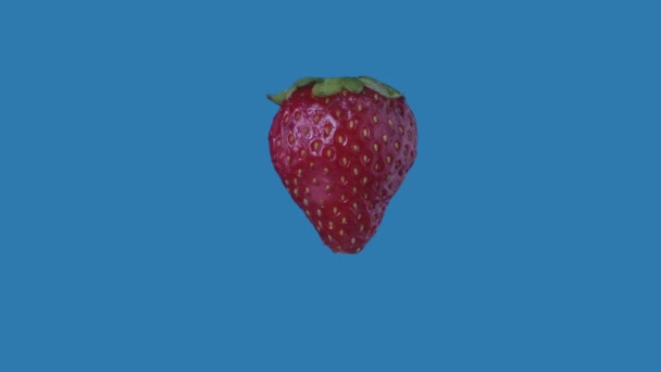Conceito Criativo Publicidade Alimentos Saudáveis Isolado Fundo Azul Berry Girando — Vídeo de Stock