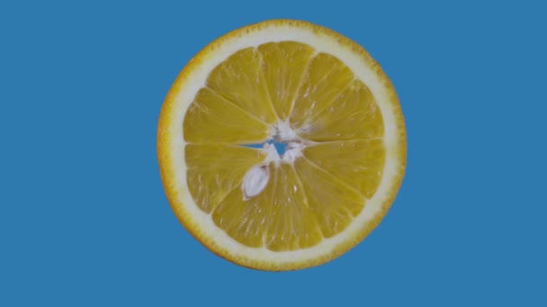 Concepto Creativo Publicidad Alimentos Saludables Aislado Sobre Fondo Azul Fruta — Vídeo de stock