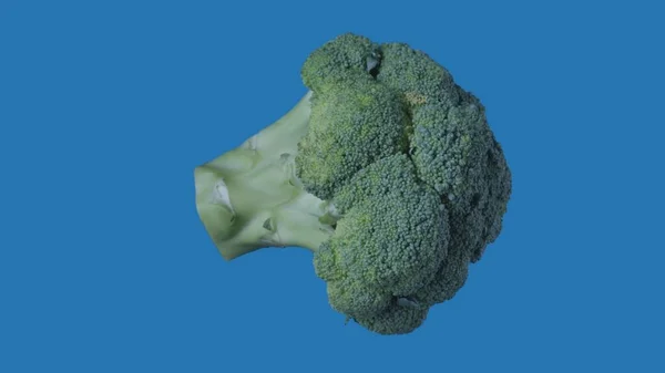 果物や野菜を健康的に食べるクリエイティブなコンセプト 着色されたスクリーンに対して野菜 青い背景に隔離されたブロッコリーのクローズアップ横のスタジオショット — ストック写真