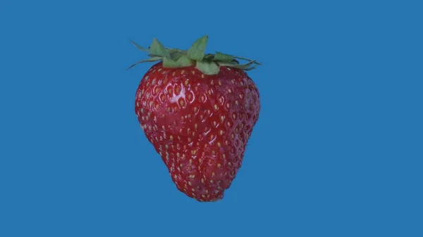 Healthy eating fruits and vegetables creative concept. Berry against colored screen. Closeup studio shot of strawberry isolated on blue background.