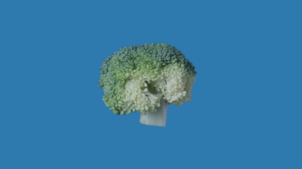 Zdravá Reklama Potraviny Kreativní Koncept Izolované Modrém Pozadí Rostlinná Rotace — Stock video